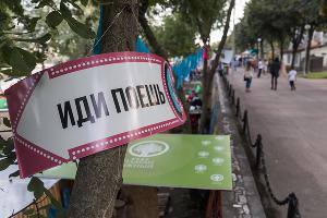 Фестиваль «Стереопикник» в Краснодаре © Фото Евгения Резника, Юга.ру