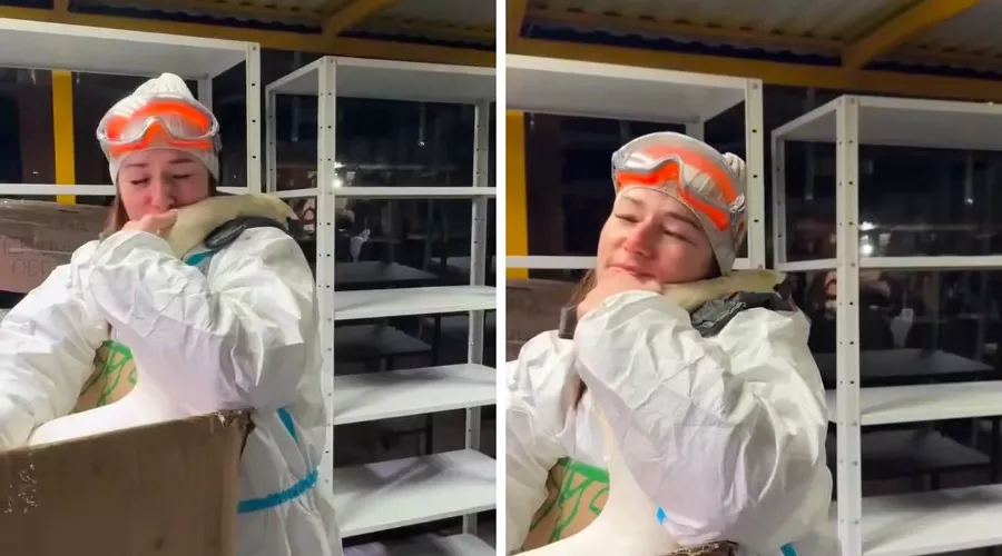  &copy;&nbsp;Скриншоты видео из телеграм-канала эколога Георгия Каваносяна https://t.me/ecozhora/4382