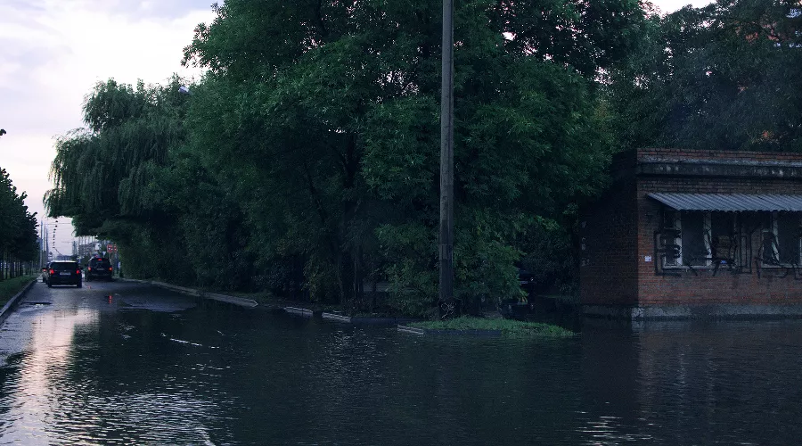 Музыкальный микрорайон &copy;&nbsp;Фото Юли Шафаростовой