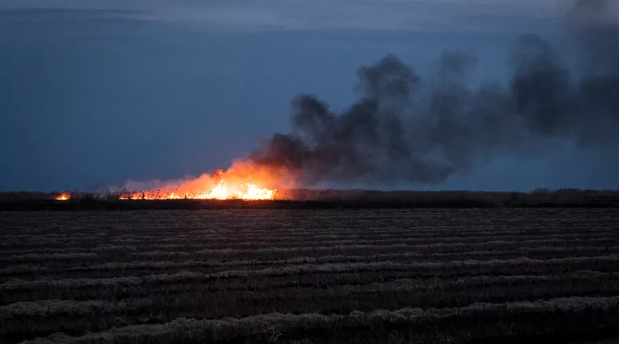  &copy;&nbsp;Фото Елены Синеок, Юга.ру