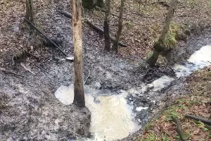  &copy;&nbsp;Фото &laquo;Эковахты по Северному Кавказу&raquo;