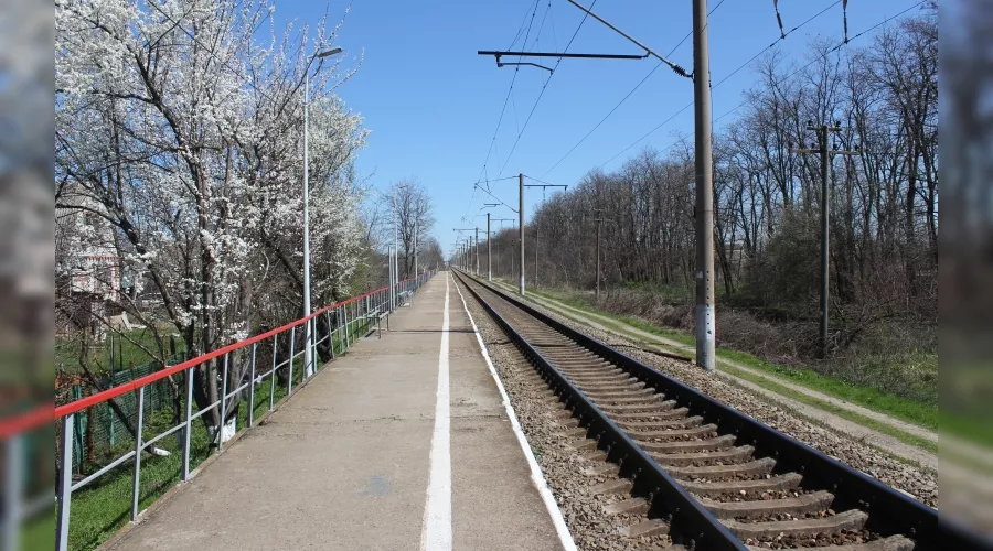  &copy;&nbsp;Фото пресс-службы мэрии Краснодара