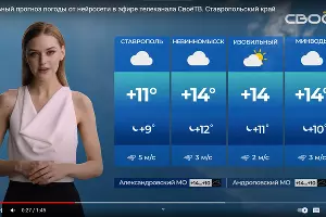  &copy;&nbsp;скриншот видео ютуб-канала СВОЁ ТВ СТАВРОПОЛЬСКОЕ ТЕЛЕВИДЕНИЕ https://www.youtube.com/watch?v=bOJVP_9YVrM