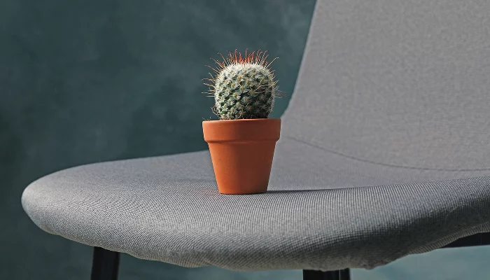  &copy;&nbsp;Фото Atlascompany, freepik.com