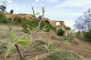 Кисловодск &copy;&nbsp;фото Марии Карагёзовой