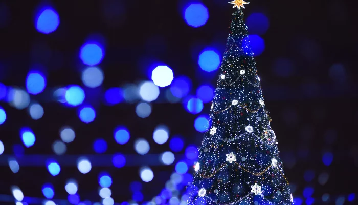 Новогодняя елка в Краснодаре &copy;&nbsp;Фото Елены Синеок, Юга.ру