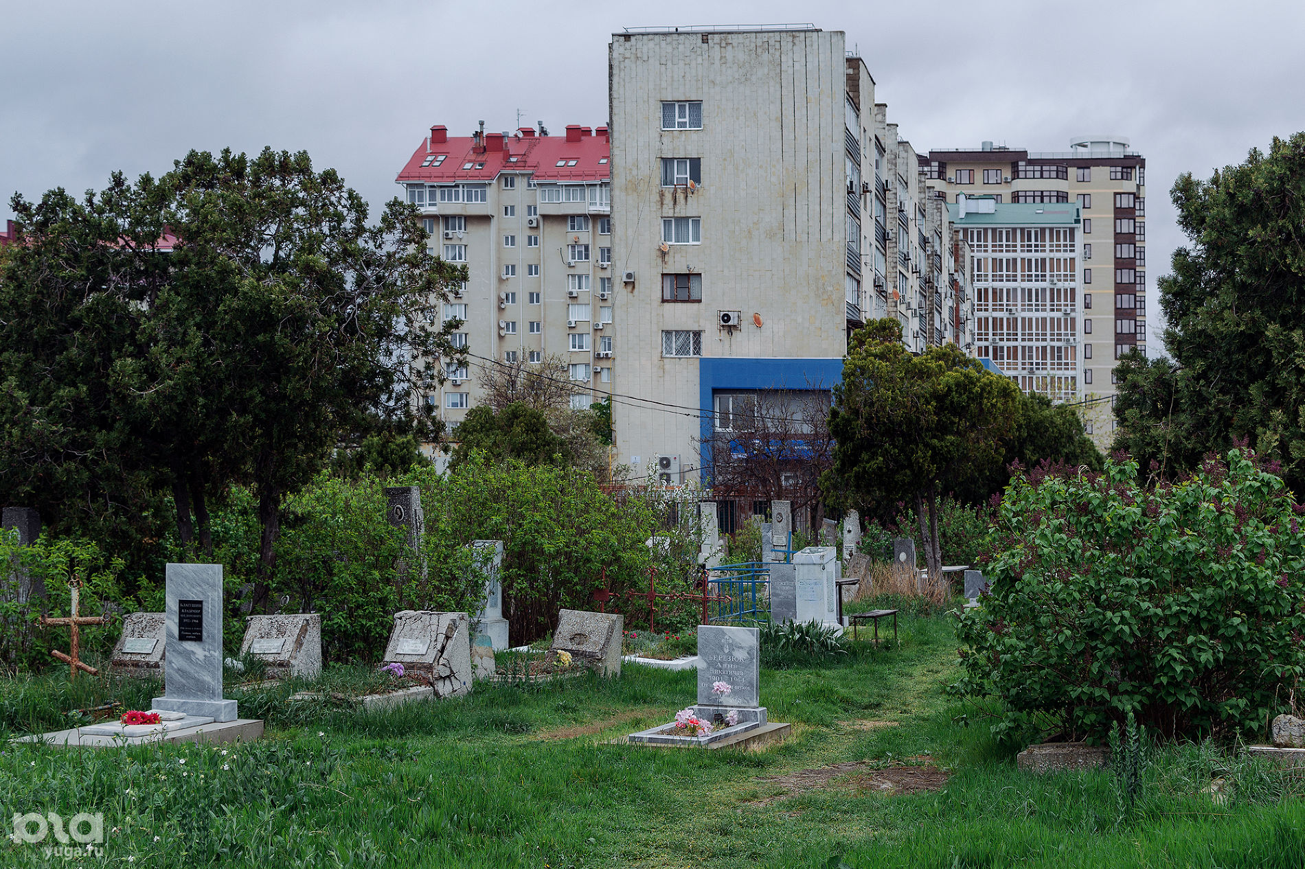 Старое городское кладбище Анапы © Фото Юли Шафаростовой, Юга.ру