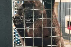  &copy;&nbsp;Фото Даниила Вальца