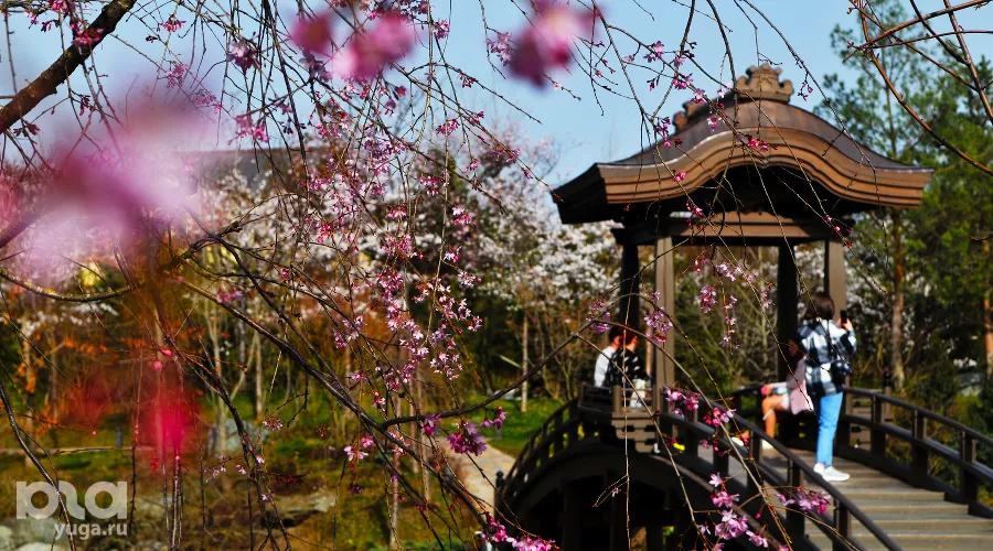  &copy;&nbsp;Фото Марины Солошко, Юга.ру