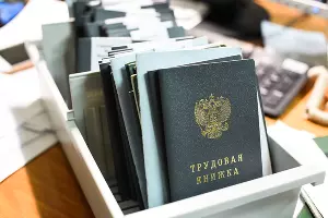 Трудовая книжка &copy;&nbsp;Фото Елены Синеок, Юга.ру