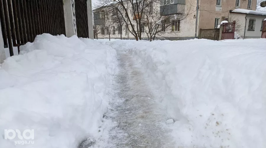  &copy;&nbsp;Фото Александры Аксеновой, Юга.ру