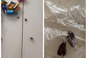  &copy;&nbsp;Скриншот из телеграм-канала Юрия Озаровского https://t.me/MoreOz/112681