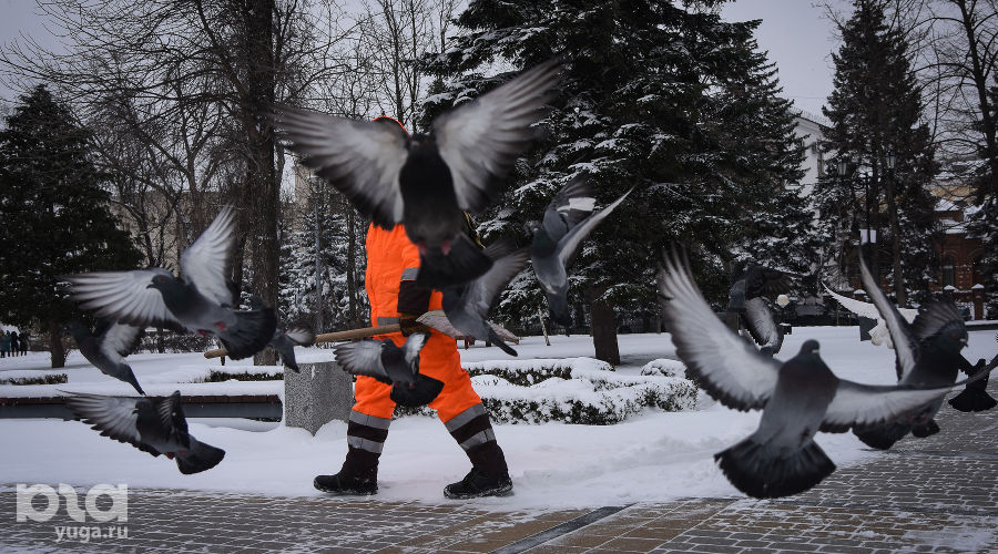 Снегопад в Краснодаре © Фото Елены Синеок, Юга.ру