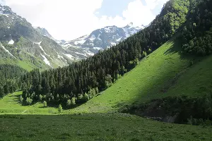 Нетронутые леса в Архызском лесничестве, по соседству с которыми ведутся незаконные рубки &copy;&nbsp;Фото предоставлено пресс-службой WWF