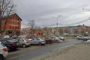  &copy;&nbsp;Скриншот фотографии из объявления на &laquo;Авито&raquo;