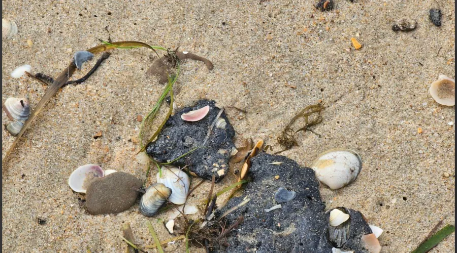  &copy;&nbsp;Скриншот из телеграм-канала Юрия Озаровского https://t.me/MoreOz/108669?single