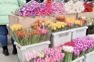  &copy;&nbsp;фото Андрея Малёваного