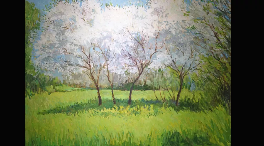  &copy;&nbsp;Скриншот из электронного письма от пресс-службы Краснодарского краевого выставочного зала