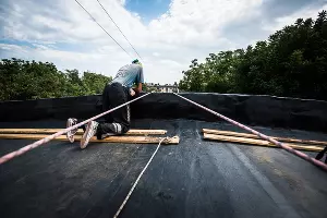  &copy;&nbsp;Фото Елены Синеок, Юга.ру