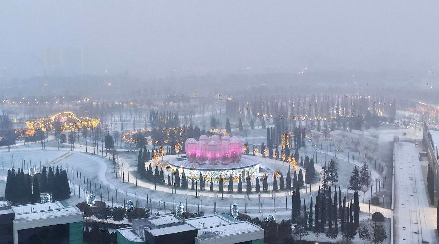 Парк «Краснодар» под первым снегом, 22 декабря 2021 © Фото Евгения Таранжина