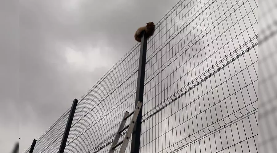  &copy;&nbsp;Фото из инстаграма начальника &laquo;Службы спасения&raquo; Алексея Одерова, https://www.instagram.com/p/B3_7B4Cpos6/