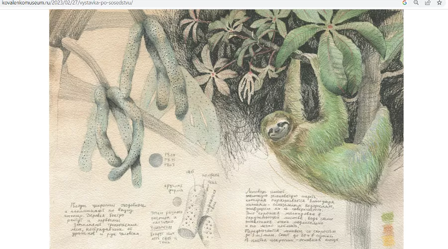  &copy;&nbsp;скриншот сайта ГБУККК ККХМ имени Ф.А. Коваленко https://kovalenkomuseum.ru/2023/02/27/vystavka-po-sosedstvu/