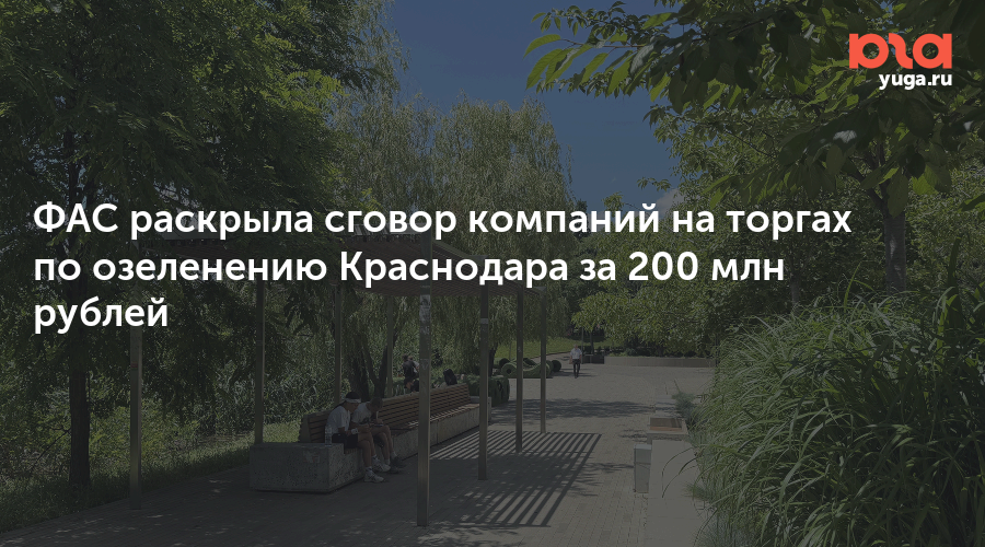 ФАС раскрыла сговор компаний на торгах по озеленению Краснодара за 200 млн рублей