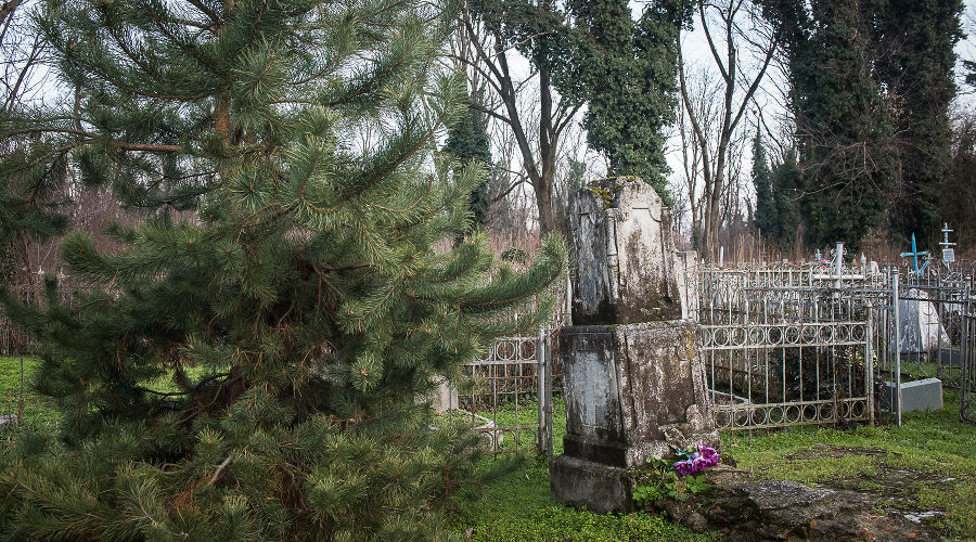 Кладбище © Фото Елены Синеок, Юга.ру