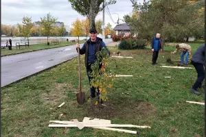  &copy;&nbsp;Скриншот из телеграм-канала &laquo;Краснодарские парки&raquo; https://t.me/KrasnodarskieParki/10276