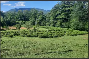  &copy;&nbsp;Скриншот из телеграм-канала главы Туапсинского района Сергея Бойко https://t.me/glavatuapseregion/1569