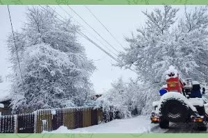 Последствия снегопада в Северском районе, 21 января 2024 г. &copy;&nbsp;Скриншот публикации в телеграм-канале Андрея Дорошевского, T.me/andreidoroshevskii