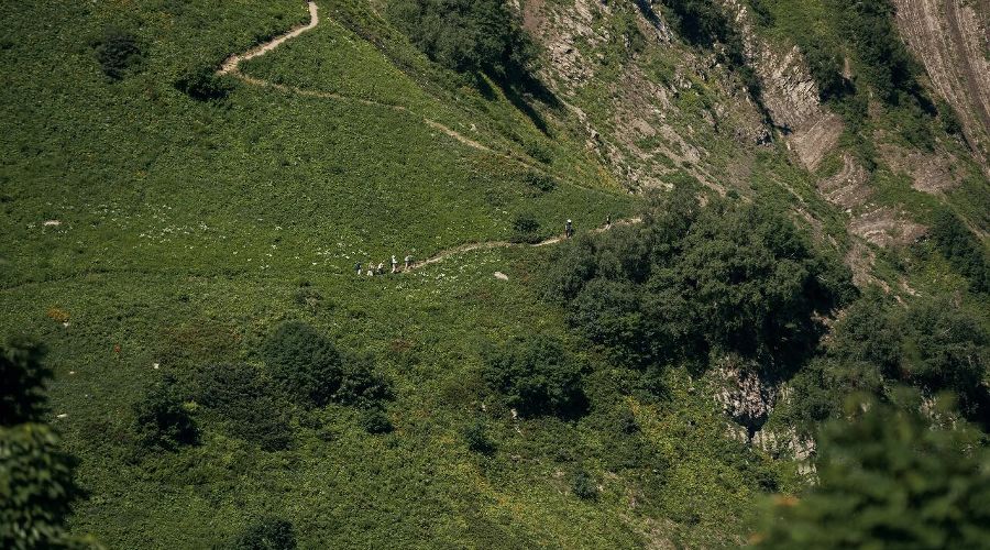 Черничная тропа © Фото пресс-службы «Курорта Красная Поляна»