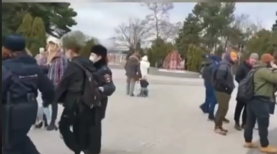  &copy;&nbsp;Скриншот видео из тиктока kotikitop20, https://www.tiktok.com/@kotikitop20