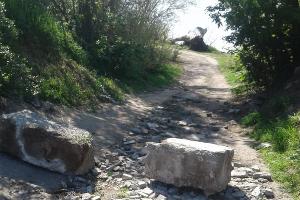  © Фото пресс-службы администрации Краснодара