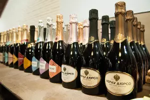  &copy;&nbsp;Елена Синеок, ЮГА.ру