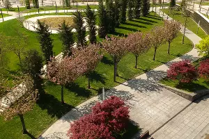 Парк «Краснодар» &copy;&nbsp;Фото Евгения Таранжина, Юга.ру