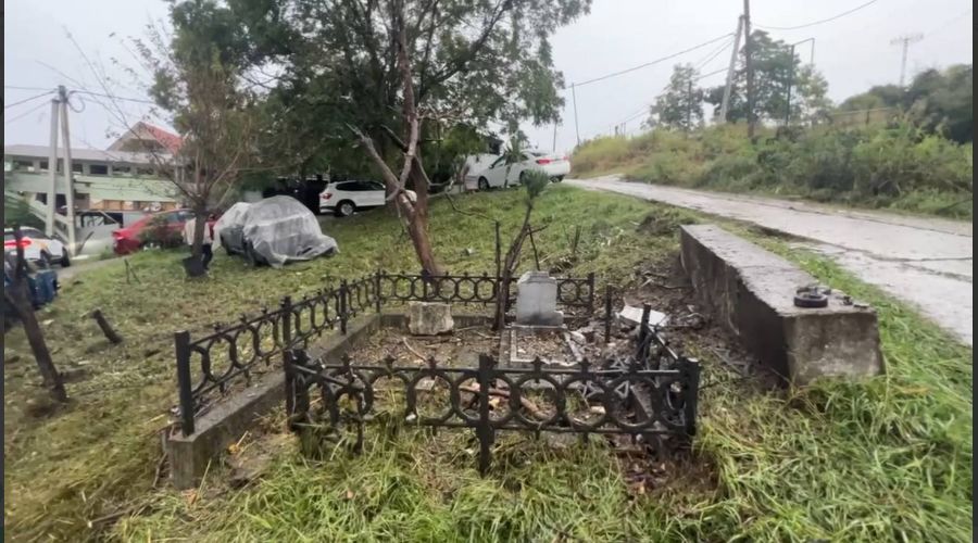  © Скриншот фото из телеграм-канала «Мэр Сочи Андрей Прошунин»