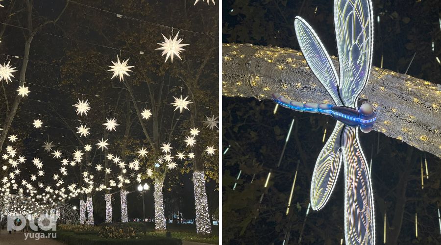  © Фото Марии Журавлевой, Юга.ру