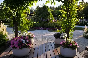  &copy;&nbsp;Фото Марины Солошко, Юга.ру