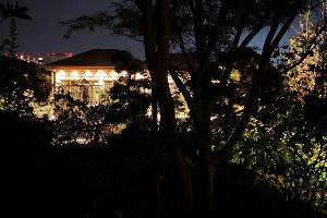 «Японский сад» в парке «Краснодар» © Фото Влады Мандрыка