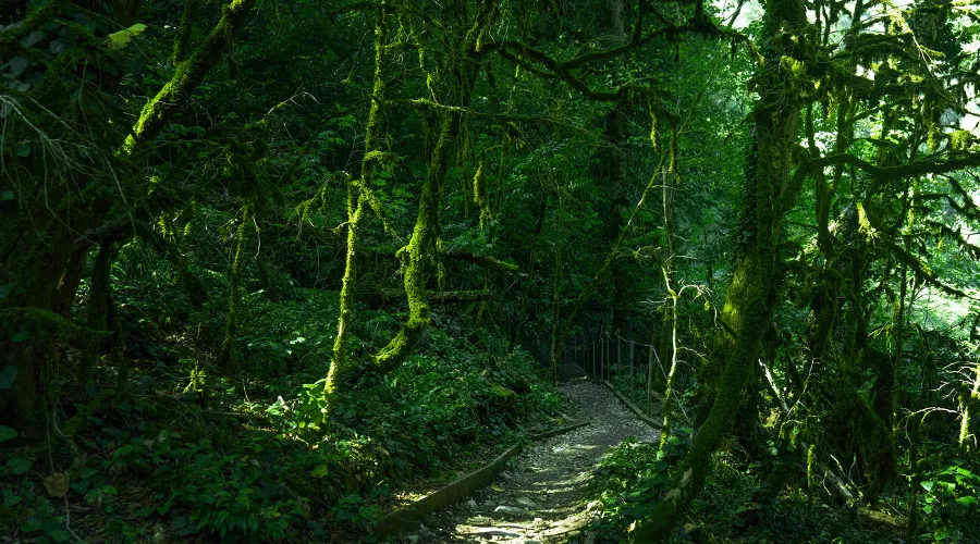  &copy;&nbsp;Фото AmixStudio, freepik.com