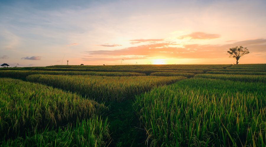  &copy;&nbsp;Фото wirestock с сайта ru.freepik.com