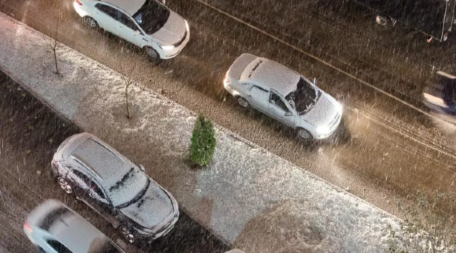  &copy;&nbsp;Фото пресс-службы администрации Краснодара