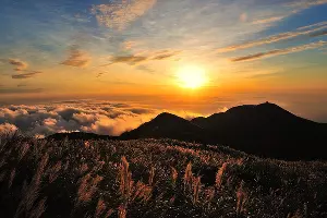  &copy;&nbsp;Фото с сайта pixabay.com