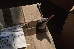  &copy;&nbsp;Фото Полины Безверхой, Юга.ру