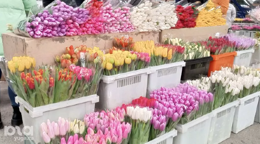  &copy;&nbsp;фото Андрея Малёваного