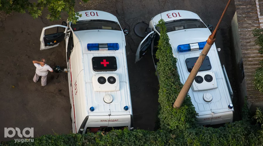  &copy;&nbsp;Фото Елены Синеок, Юга.ру