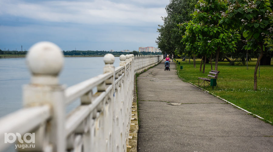  © Фото Елены Синеок, Юга.ру