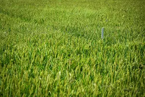  &copy;&nbsp;Фото Елены Синеок, Юга.ру