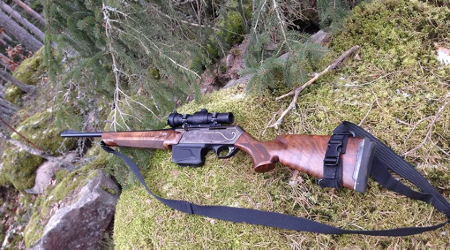 Ружье &copy;&nbsp;Фото с сайта pixabay.com